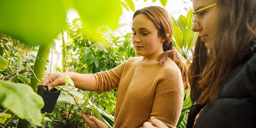 Biology students in the Biology Greenhouse