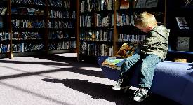 Boy sitting in library