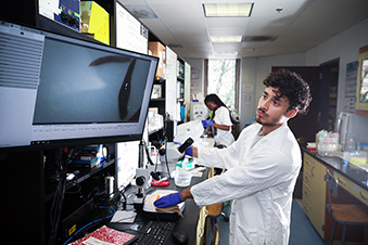 Student using microscope