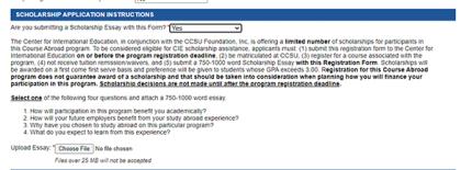 screenshot of scholarship essay upload area