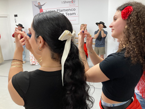 Flamenco Instructions Sevilla