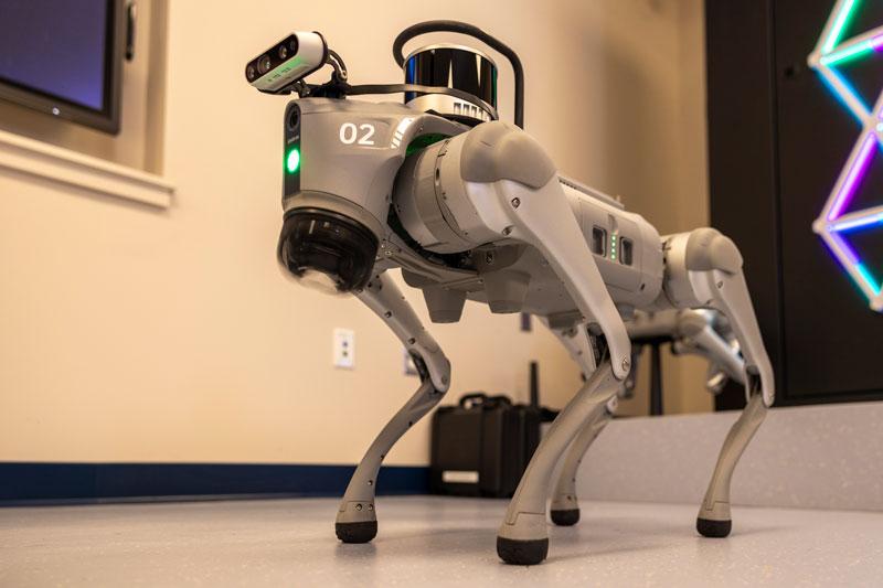 robotic dog