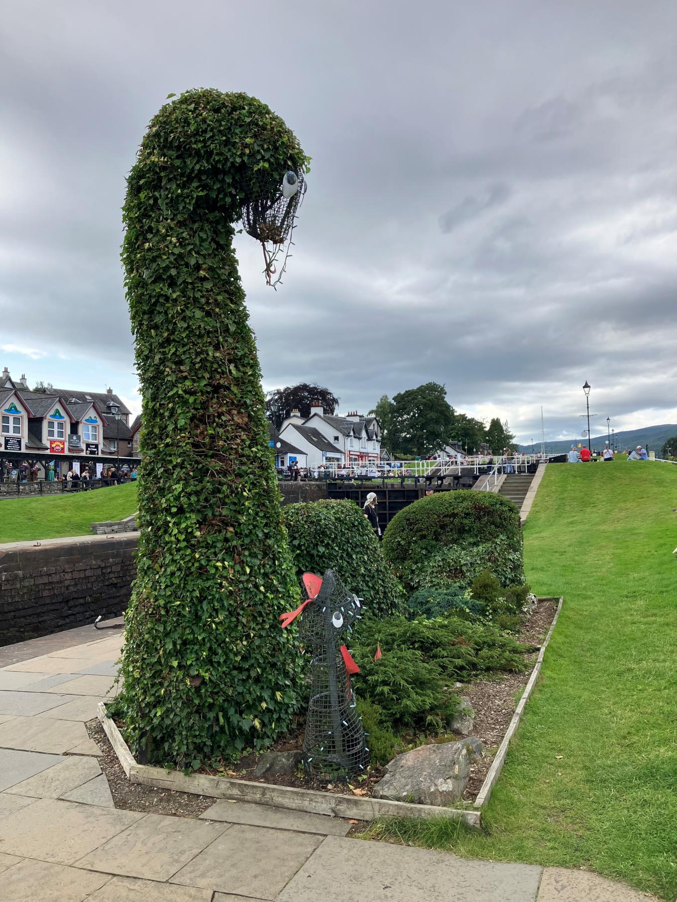 Loch Ness Monster Shrub