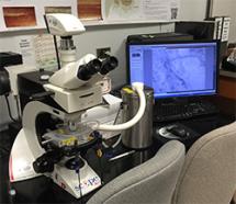 Microscope Laboratory