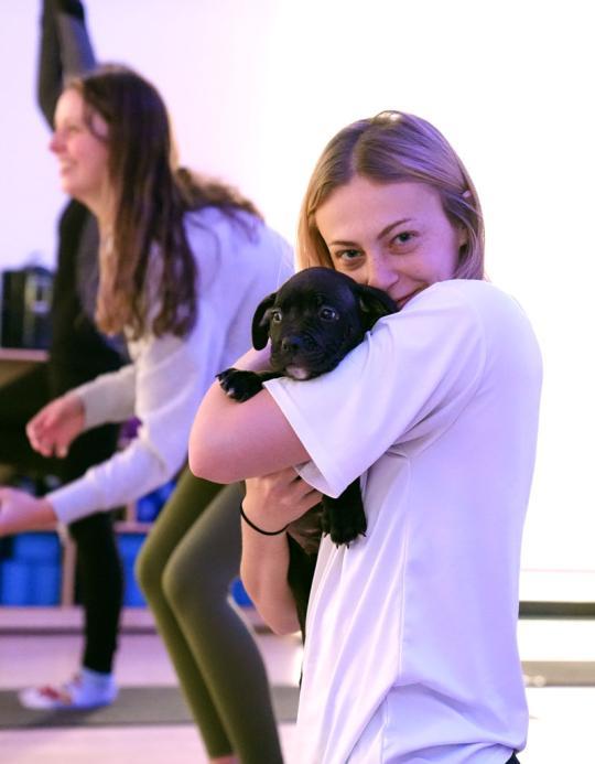 student with puppy at puppy yoga