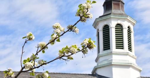 Central Tower with Flower Buds