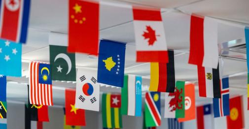 Flags from around the world hang from a classroom ceiling