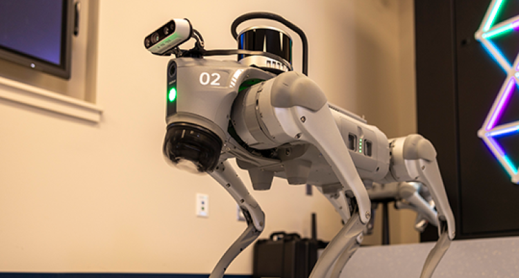 Robot dog